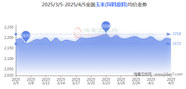 图片1 玉米