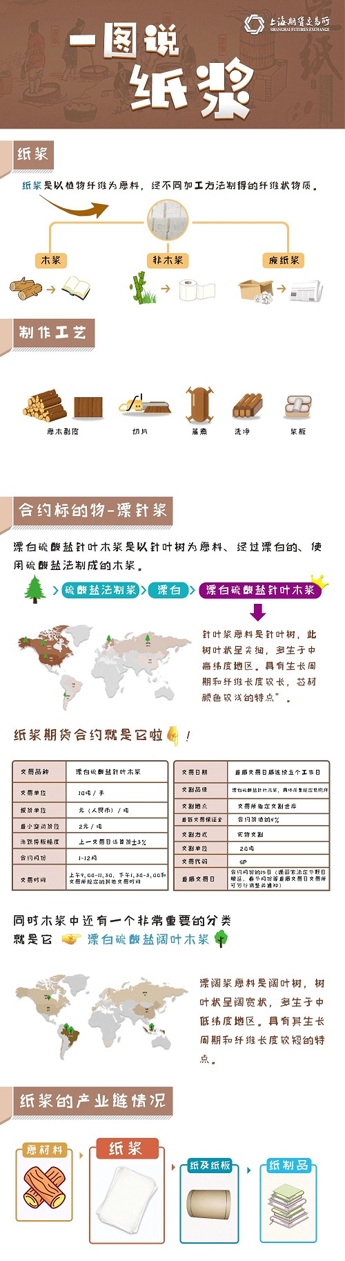 图说纸浆1.jpg