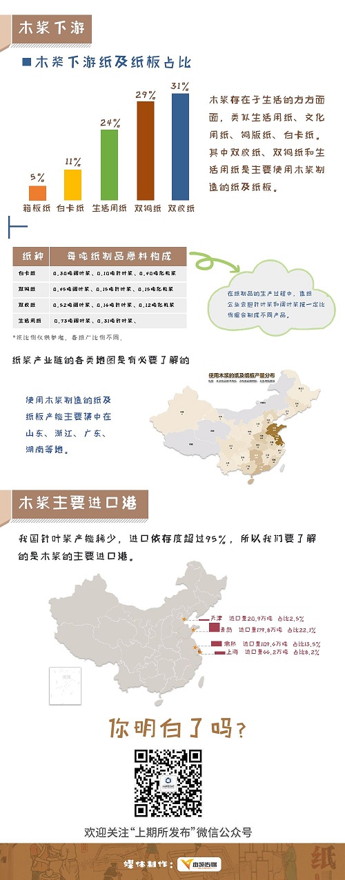 图说纸浆2.jpg