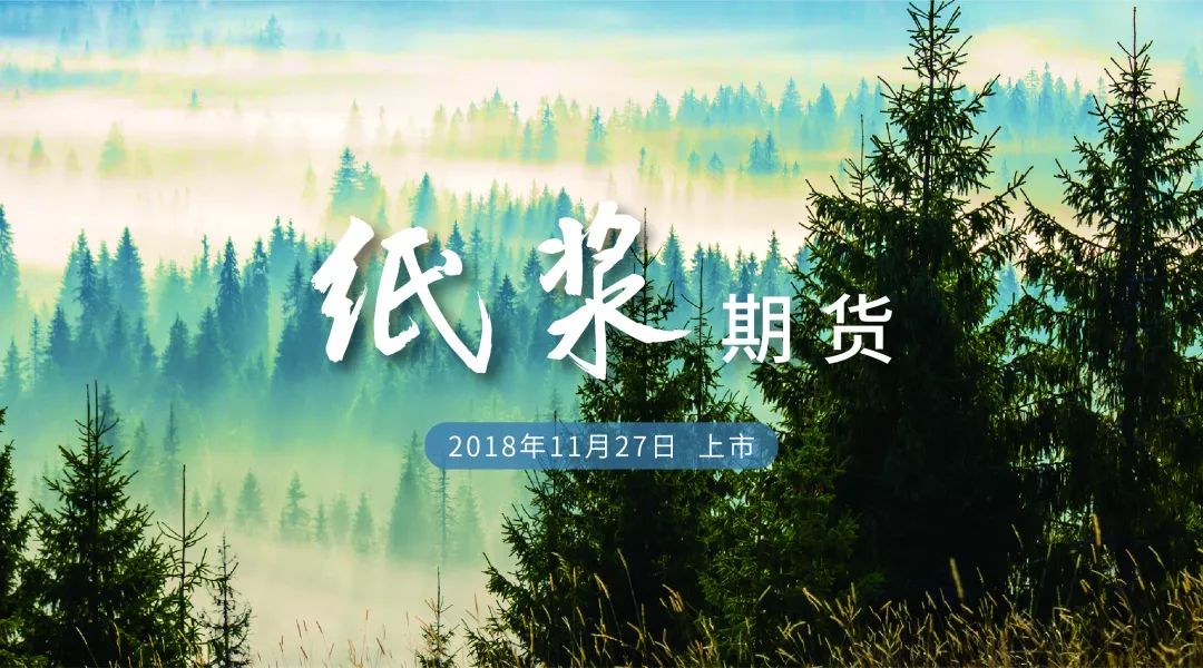 纸浆图片.jpg